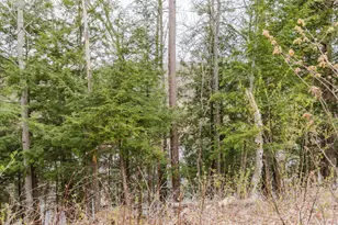 22 Lyons Ln, Dixfield, ME 04224 - Photo 43