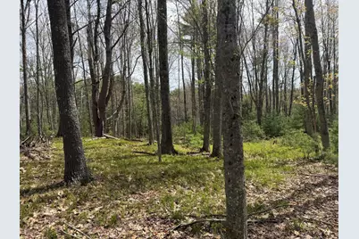 0 Freda's Lane, Arrowsic, ME 04530 - Photo 3