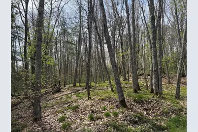 0 Freda's Lane, Arrowsic, ME 04530 - Photo 7