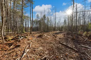Lot 11 Pine Hill Rd, Palermo, ME 04354 - Photo 17