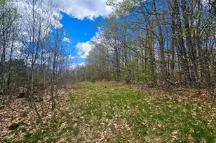 451 Morse Hill Rd, Jay, ME 04239 - Photo 71