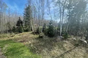 319 Dexter Rd, Saint Albans, ME 04971 - Photo 5