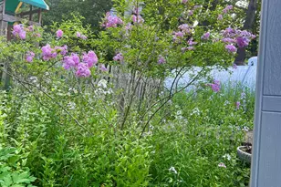 28 Washington St, Eastport, ME 04631 - Photo 83