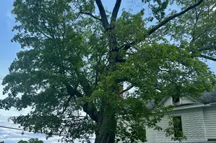 28 Washington St, Eastport, ME 04631 - Photo 9