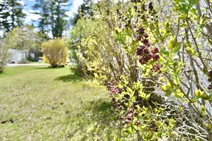 56 Franklin Pkwy, Brunswick, ME 04011 - Photo 5