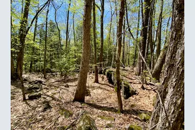 1029 North Road, Parsonsfield, ME 04047 - Photo 13