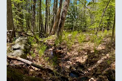 1029 North Road, Parsonsfield, ME 04047 - Photo 19