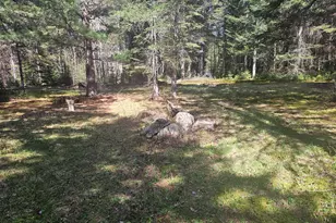 631 Crystal Rd, Crystal, ME 04747 - Photo 13