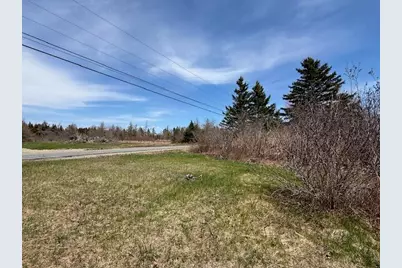 Lot 2 Holmes Bay Farms Road, Whiting, ME 04691 - Photo 13