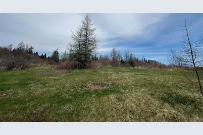 Lot 3 Holmes Bay Farms Road, Whiting, ME 04691 - Photo 3