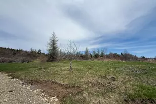 Lot 3 Holmes Bay Farms Rd, Whiting, ME 04691 - Photo 1