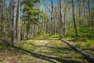 673 Salem Rd, Freeman Twp, ME 04983 - Photo 37