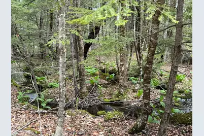 48 Highland Ridge, Hollis, ME 04042 - Photo 53