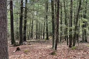 48 Highland Ridge, Hollis, ME 04042 - Photo 59
