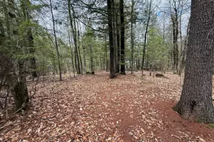 48 Highland Ridge, Hollis, ME 04042 - Photo 61