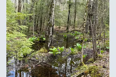 48 Highland Ridge, Hollis, ME 04042 - Photo 51