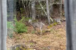 48 Highland Ridge, Hollis, ME 04042 - Photo 55