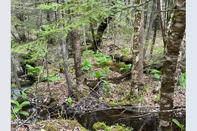 48 Highland Ridge, Hollis, ME 04042 - Photo 3