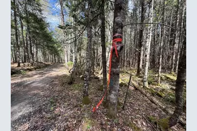 Lot12Part Old Indian Trail Road, East Machias, ME 04630 - Photo 31