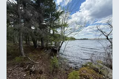 Lot12Part Old Indian Trail Road, East Machias, ME 04630 - Photo 9