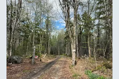 Lot12Part Old Indian Trail Road, East Machias, ME 04630 - Photo 33