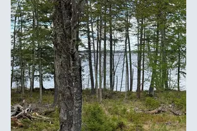 Lot12Part Old Indian Trail Road, East Machias, ME 04630 - Photo 17
