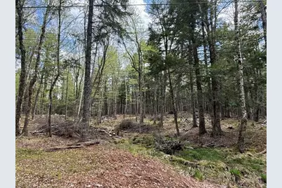 Lot12Part Old Indian Trail Road, East Machias, ME 04630 - Photo 23