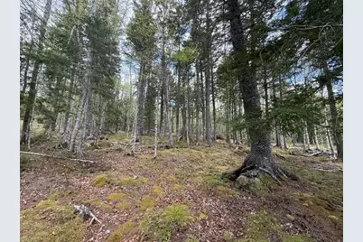 Lot12Part Old Indian Trail Road, East Machias, ME 04630 - Photo 21