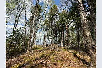 Lot12Part Old Indian Trail Road, East Machias, ME 04630 - Photo 25
