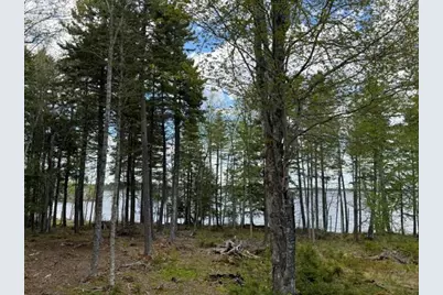 Lot12Part Old Indian Trail Road, East Machias, ME 04630 - Photo 19