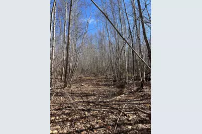 025-026 Between Goodrich N Mahoney Hil, Bingham, ME 04920 - Photo 7