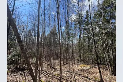 025-026 Between Goodrich N Mahoney Hil, Bingham, ME 04920 - Photo 9