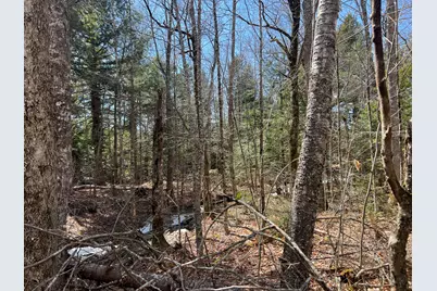 025-026 Between Goodrich N Mahoney Hil, Bingham, ME 04920 - Photo 15