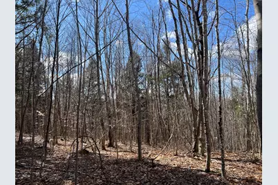 025-026 Between Goodrich N Mahoney Hil, Bingham, ME 04920 - Photo 13