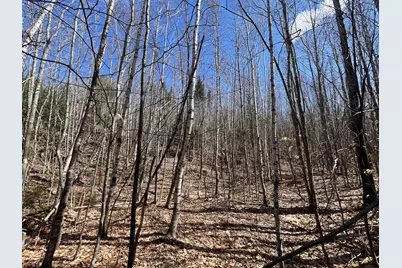 025-026 Between Goodrich N Mahoney Hil, Bingham, ME 04920 - Photo 11