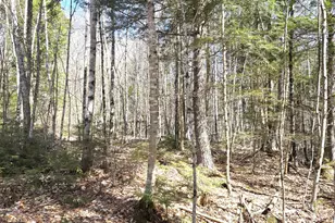 357 Lakeville Rd, Lakeville, ME 04487 - Photo 9