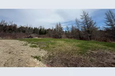 Lot 4 Holmes Bay Farms Road, Whiting, ME 04691 - Photo 3