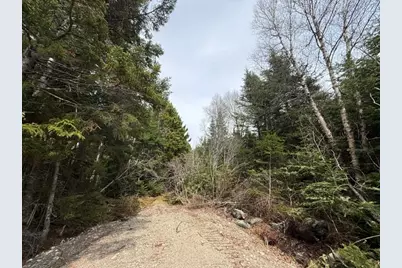 Lot 4 Holmes Bay Farms Road, Whiting, ME 04691 - Photo 7