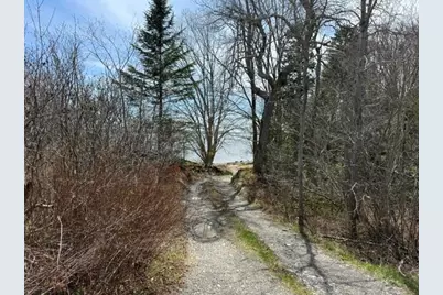 Lot 4 Holmes Bay Farms Road, Whiting, ME 04691 - Photo 13