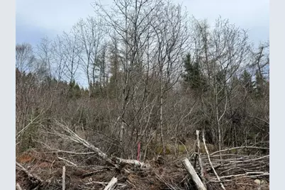 Lot 4 Holmes Bay Farms Road, Whiting, ME 04691 - Photo 5