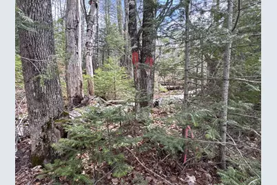 343 Guilford Center Road, Guilford, ME 04443 - Photo 13