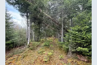 Lot 6 Holmes Bay Farms Road, Whiting, ME 04691 - Photo 5