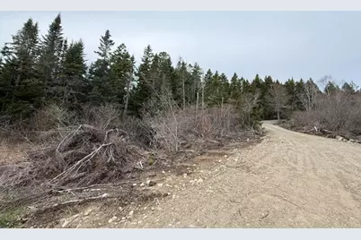 Lot 5 Holmes Bay Farms Road, Whiting, ME 04691 - Photo 11