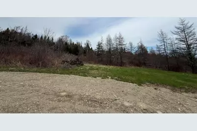 Lot 5 Holmes Bay Farms Road, Whiting, ME 04691 - Photo 13