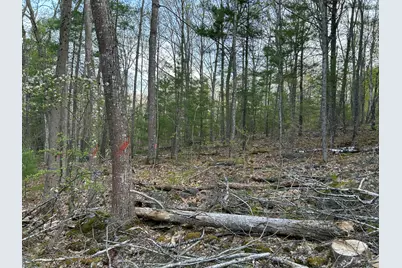 M46,L19,23 River Road, Bucksport, ME 04416 - Photo 11