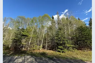 Lot 13 Pidgeon Point Road, Whiting, ME 04691 - Photo 7