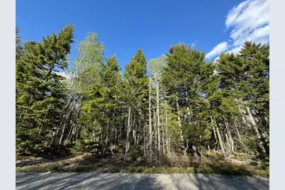 Lot 13 Pidgeon Point Road, Whiting, ME 04691 - Photo 11