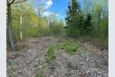Map7Lot9 Wm Livermore Road, Fayette, ME 04349 - Photo 17