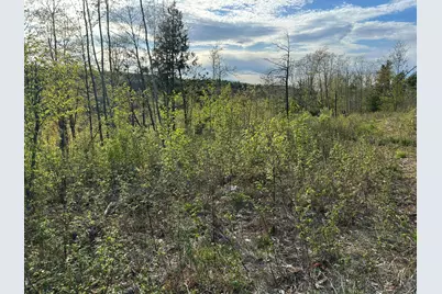Map7Lot9 Wm Livermore Road, Fayette, ME 04349 - Photo 23