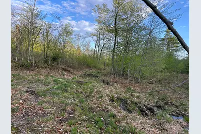 Map7Lot9 Wm Livermore Road, Fayette, ME 04349 - Photo 19
